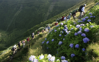 abenteuerreich Erlebnistouren, Azoren, wandern, Inselwandern, Sao Miguel, Vulkanwandern,Wale watching