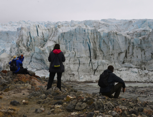 Grönland intensiv (8 Tage)