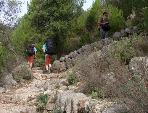 Mallorca GR221 Wanderreise mit Hotels (8 Tage)