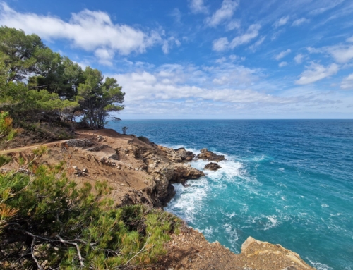 Mallorca GR221 Wanderreise mit Hotels (8 Tage)