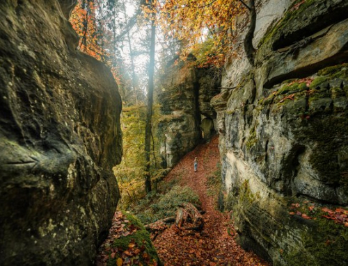 Müllerthal Trail – 3 Tage durch Luxemburgs Felsenlandschaft (3 Tage)